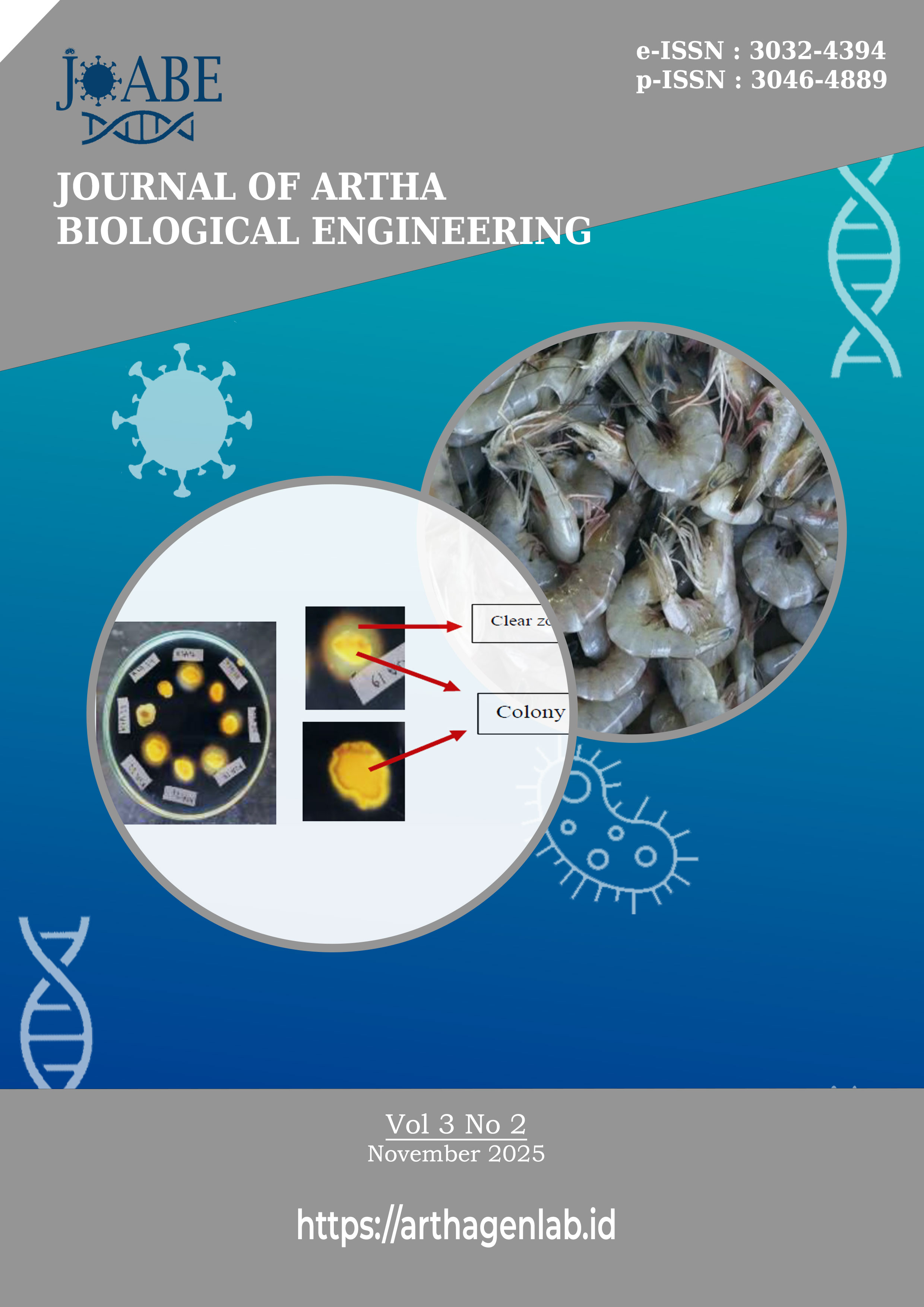 					View Vol. 3 No. 2 (2025): Volume 3 no 2 2025
				